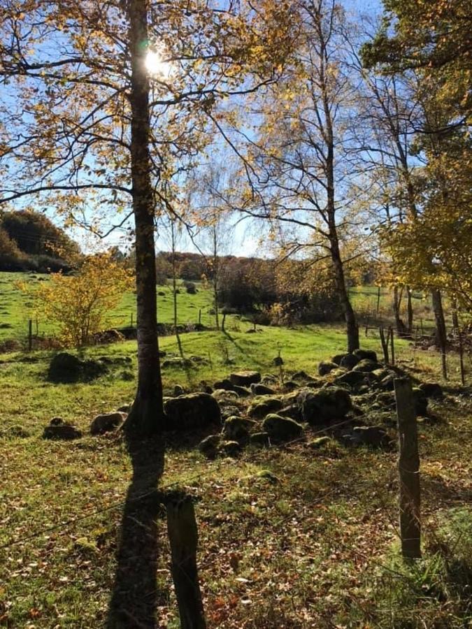 Backahusets B&B Höör Eksteriør bilde