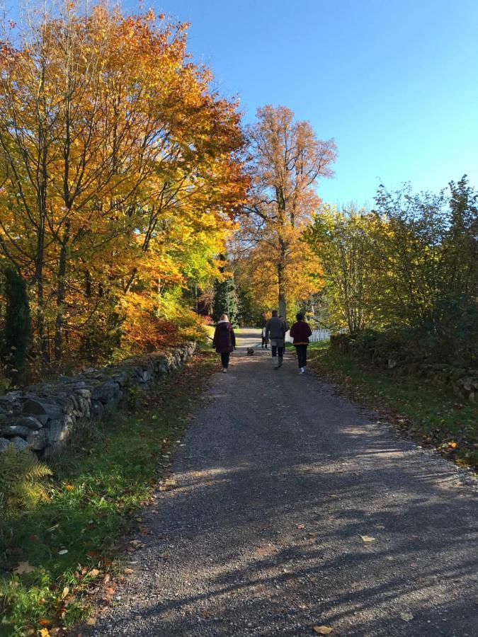 Backahusets B&B Höör Eksteriør bilde